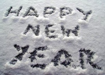 Happy New Year in Connecticut Snow
